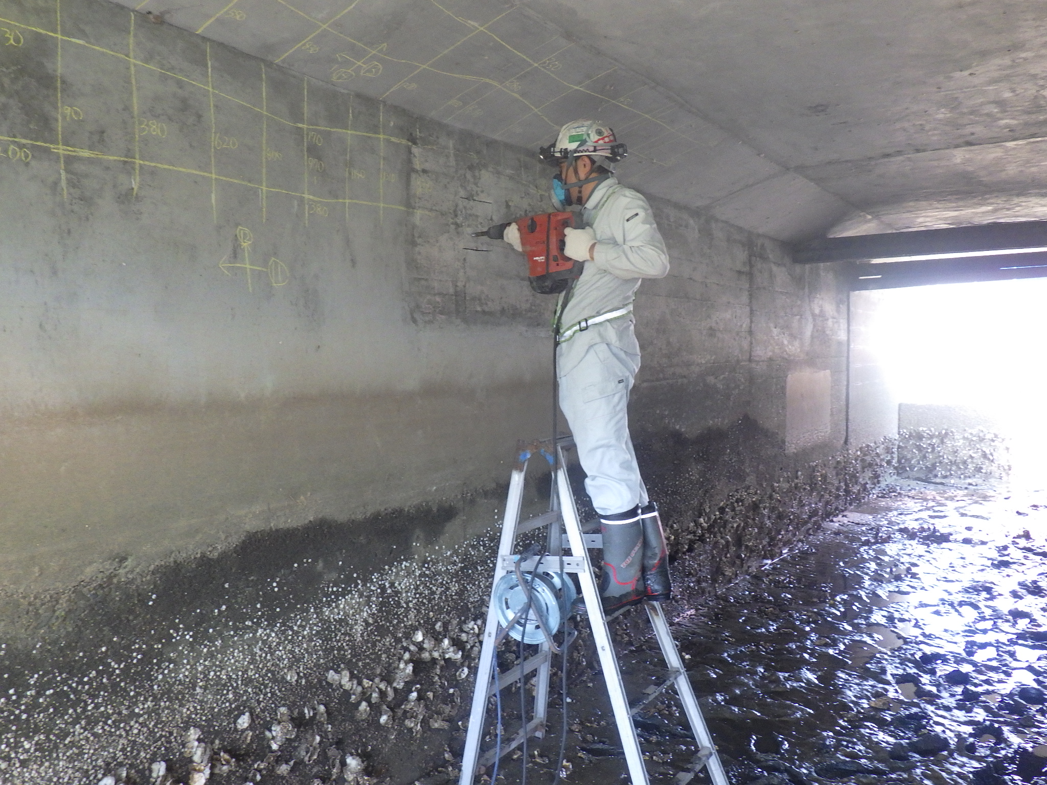 鉄筋探査・はつり鉄筋調査