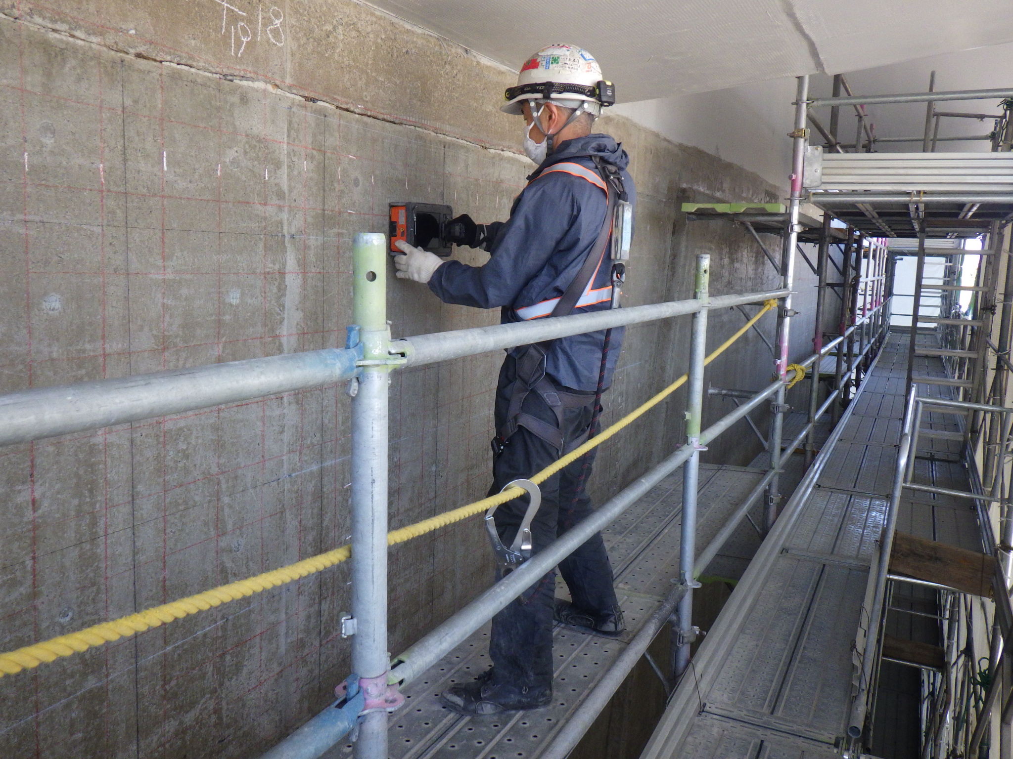 東海北陸自動車道 大門高架橋他3橋耐震補強工事