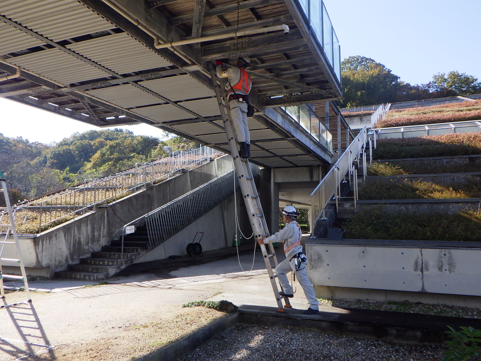 ぎふワールドローズガーデン内橋梁、トンネル点検業務